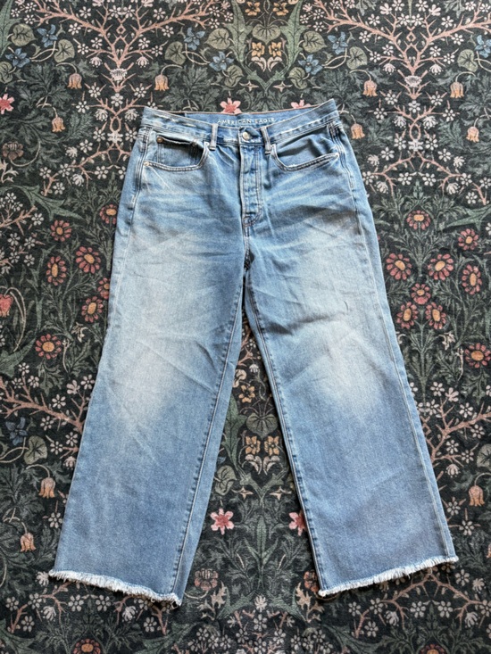American Eagle Outfitters Denim - American Eagle Outfitters Light Wash High-Rise Wide Leg Crop Jeans